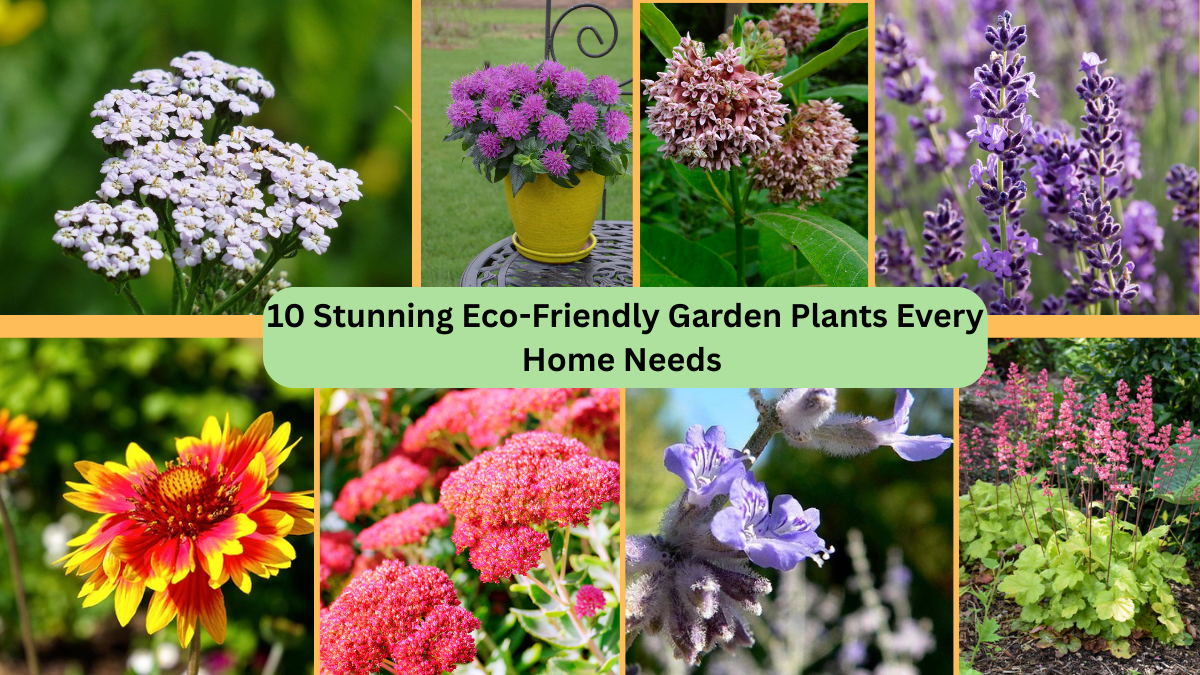 10 Stunning Eco-Friendly Garden Plants Every Home Needs 