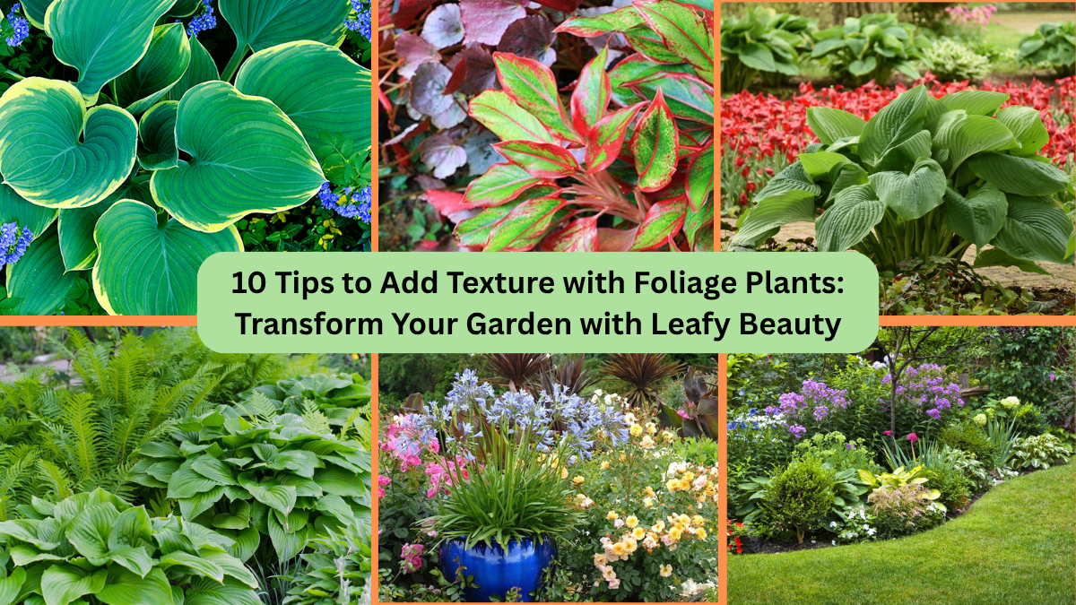 10 Tips to Add Texture with Foliage Plants: Transform Your Garden with Leafy Beauty