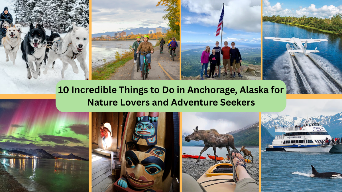 10 Incredible Things to Do in Anchorage, Alaska for Nature Lovers and Adventure Seekers
