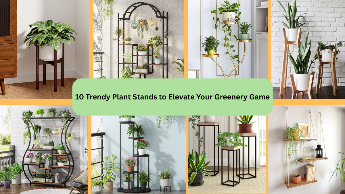 10 Trendy Plant Stands to Elevate Your Greenery Game