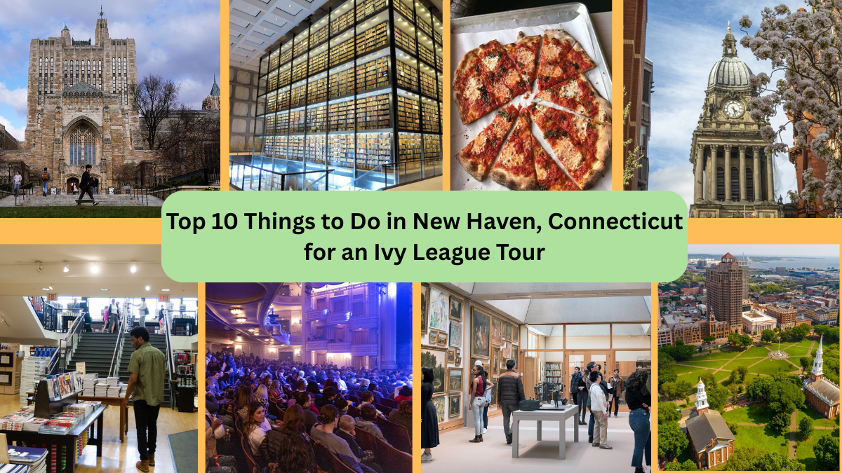 Top 10 Things to Do in New Haven, Connecticut for an Ivy League Tour