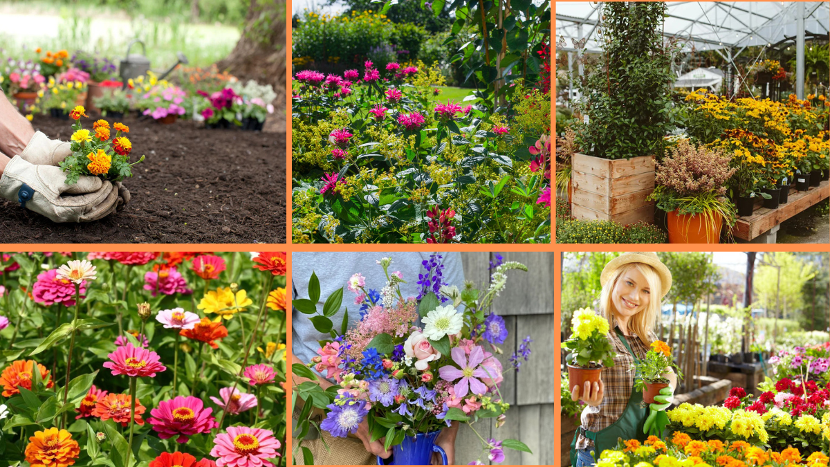 Tips to Grow Flowers Year-Round: Keep Your Garden Blooming in Every Season