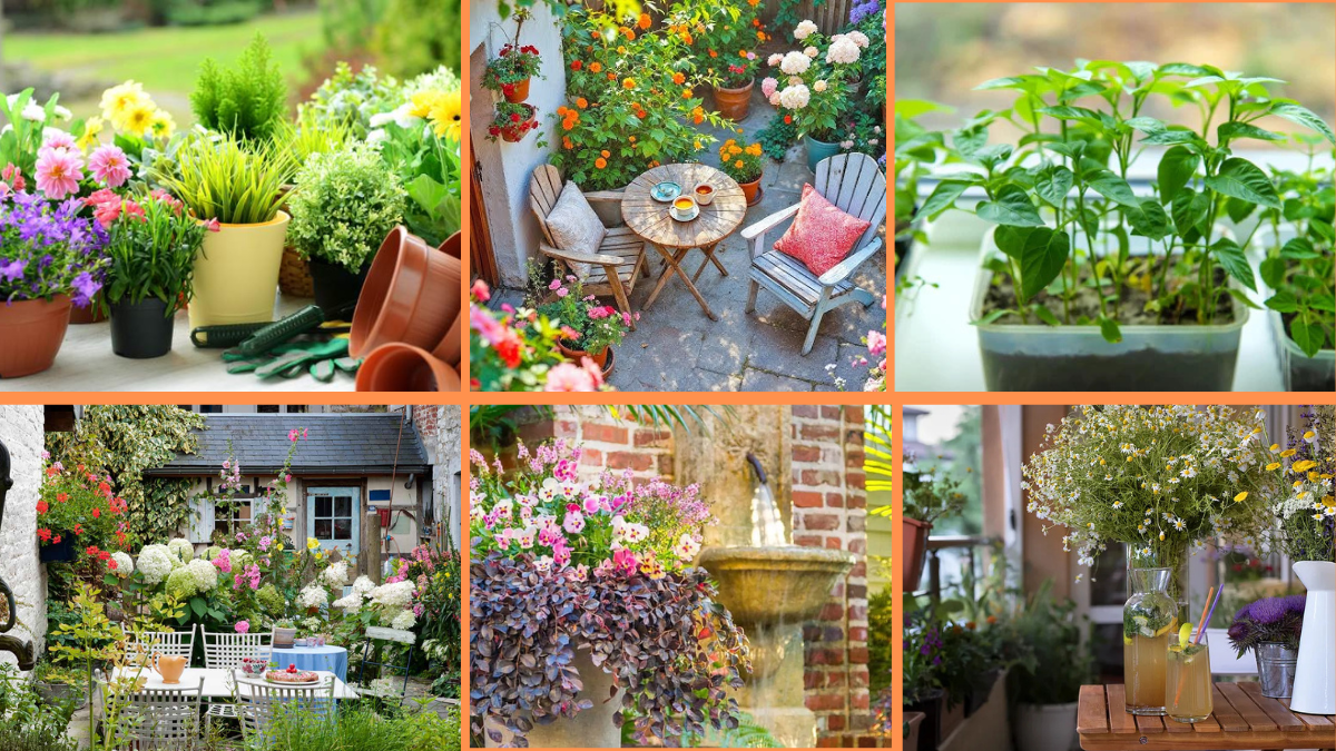 10 Tips to Grow Flowers in Small Spaces