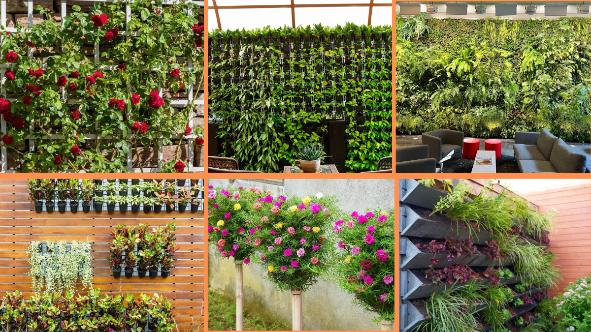 10 Tips to Create a Vertical Flower Garden: Transform Your Space with Blossoming Walls