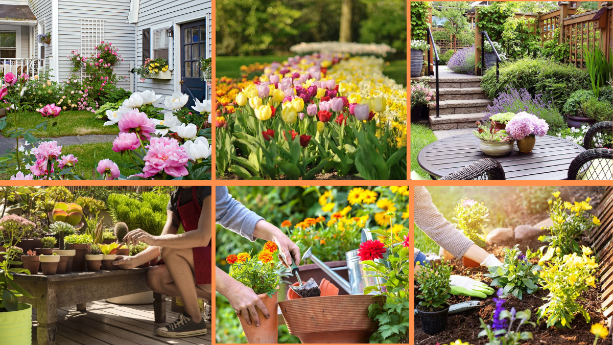 10 Tips to Start a Flower Garden on a Budget