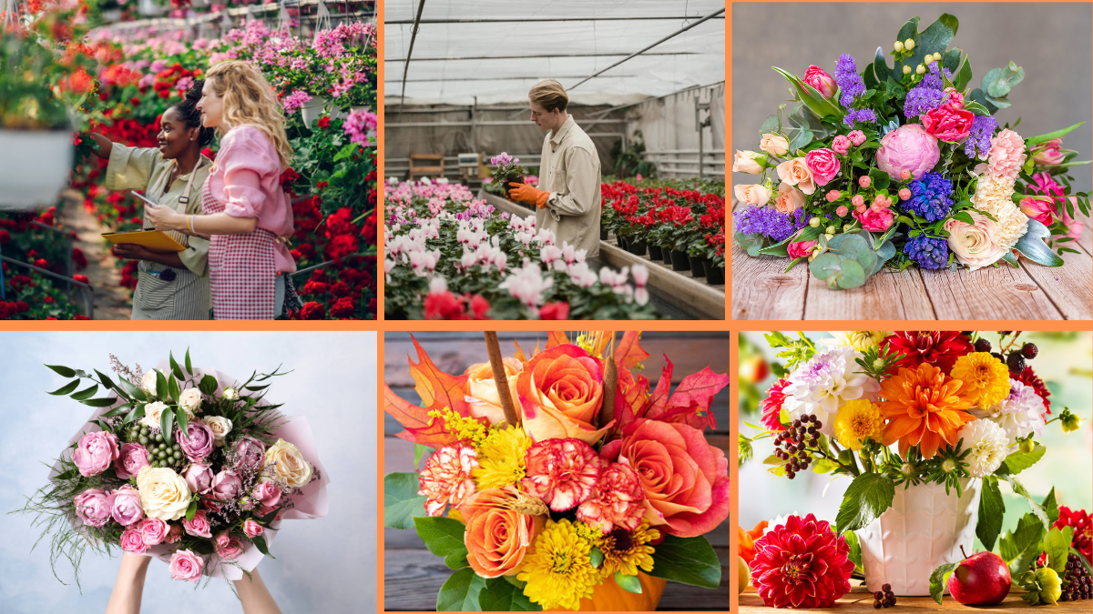 10 Tips to Choose Flowers for Every Season