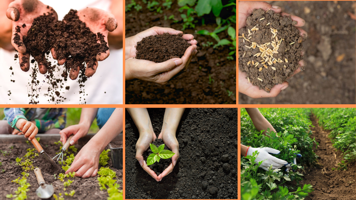 10 Tips to Enhance Soil Quality Naturally