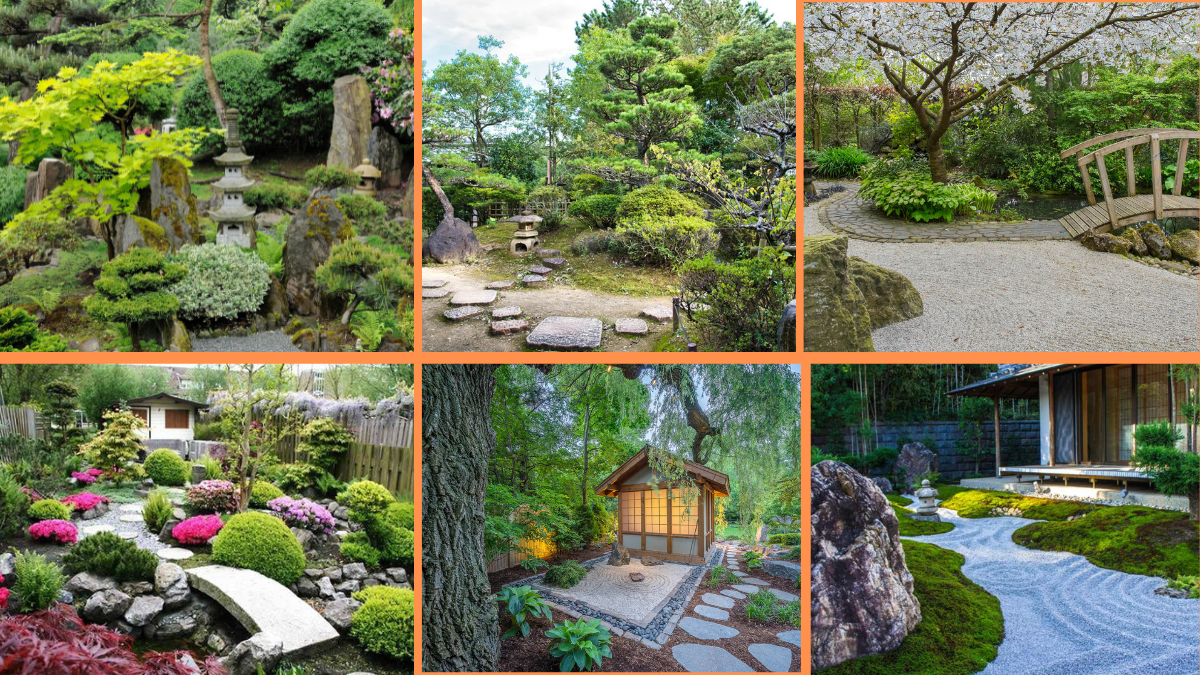 10 Tips to Create a Zen Garden with Plants: Bring Serenity to Your Space