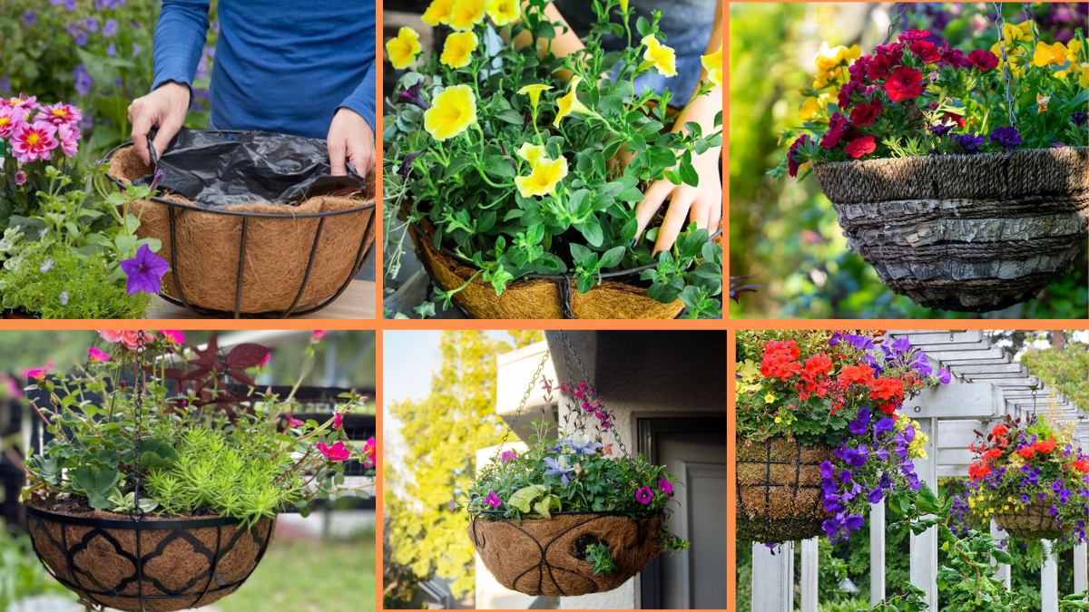 10 Tips to Grow Hanging Basket Flowers: Create Cascading Beauty in Every Corner