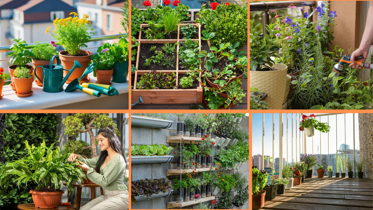 How to Start Growing a Balcony Garden: A Complete Beginner’s Guide