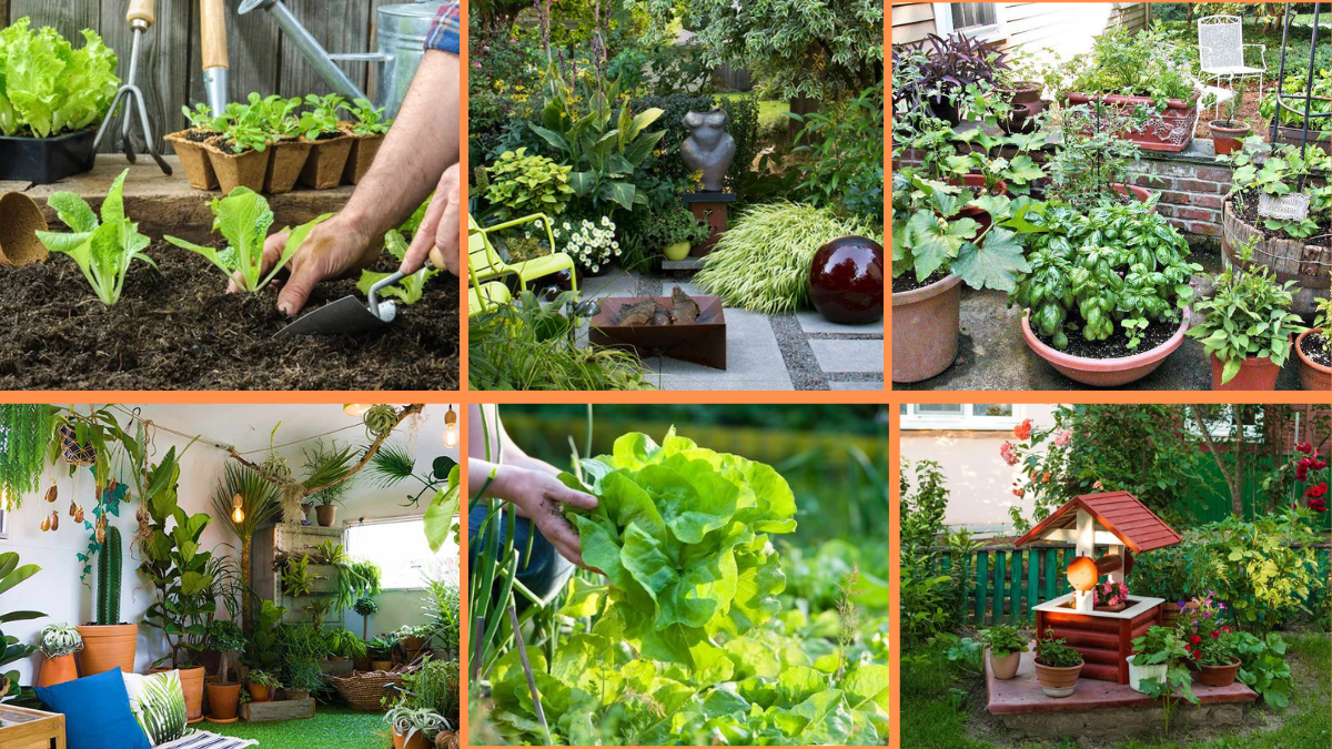 How to Start Growing a Small Space Garden: A Complete Beginner’s Guide