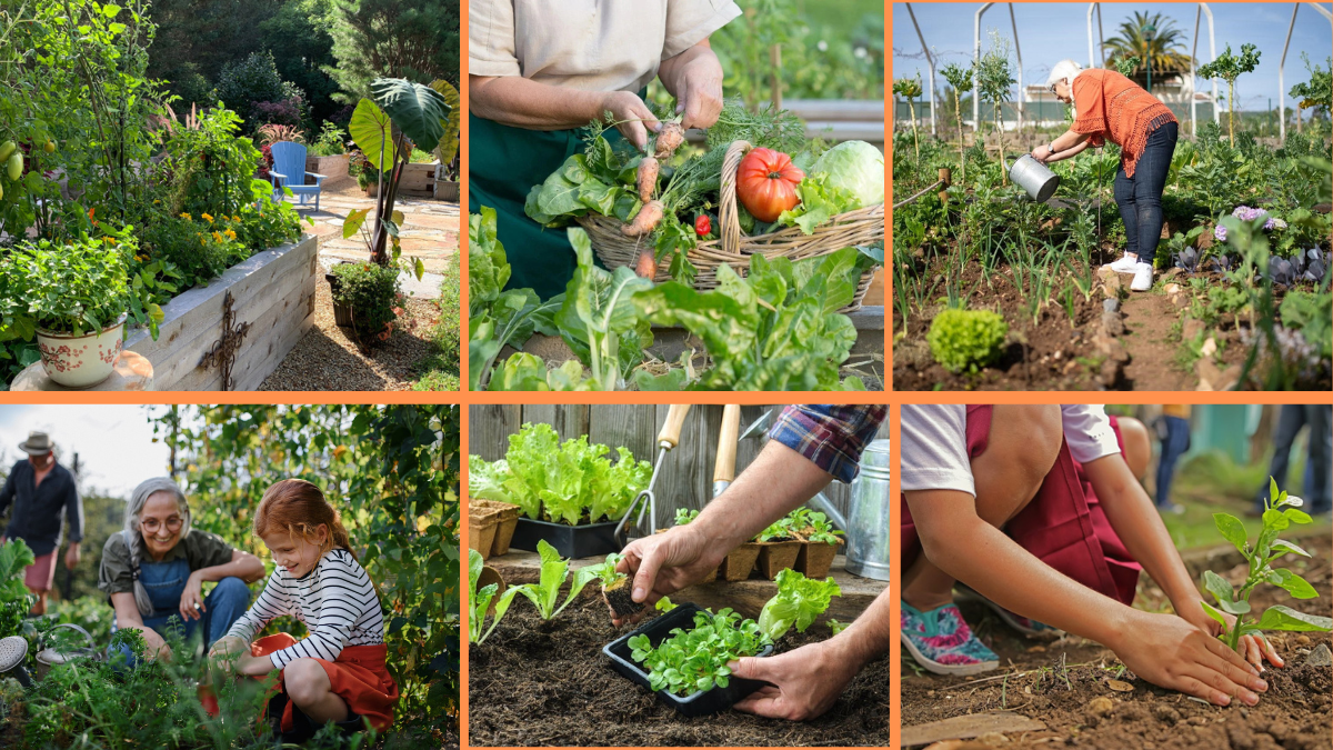 How to Start Growing a Sustainable Garden