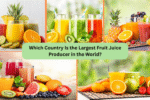 Which Country Is the Largest Fruit Juice Producer in the World?
