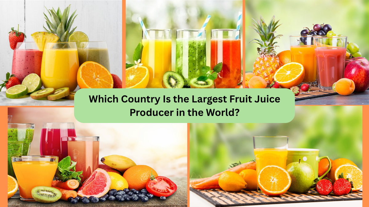 Which Country Is the Largest Fruit Juice Producer in the World?
