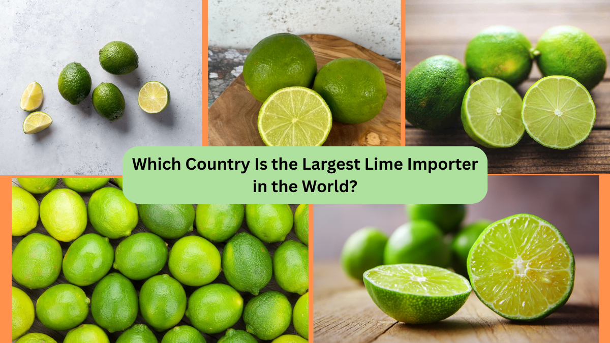 Which Country Is the Largest Lime Importer in the World?