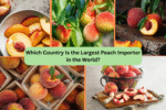 Which Country Is the Largest Peach Importer in the World?
