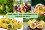Which Country Is the Largest Passion Fruit Exporter in the World?