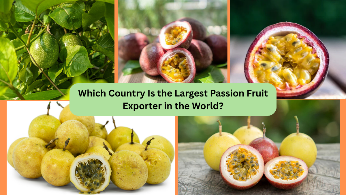 Which Country Is the Largest Passion Fruit Exporter in the World?