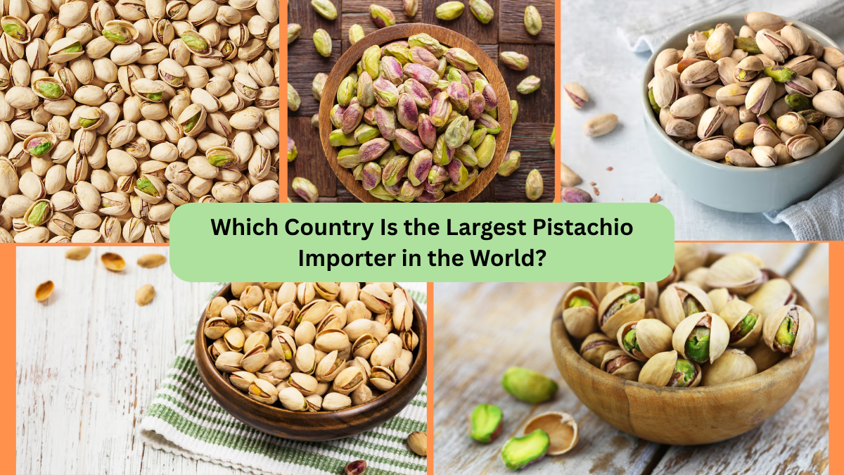 Which Country Is the Largest Pistachio Importer in the World?