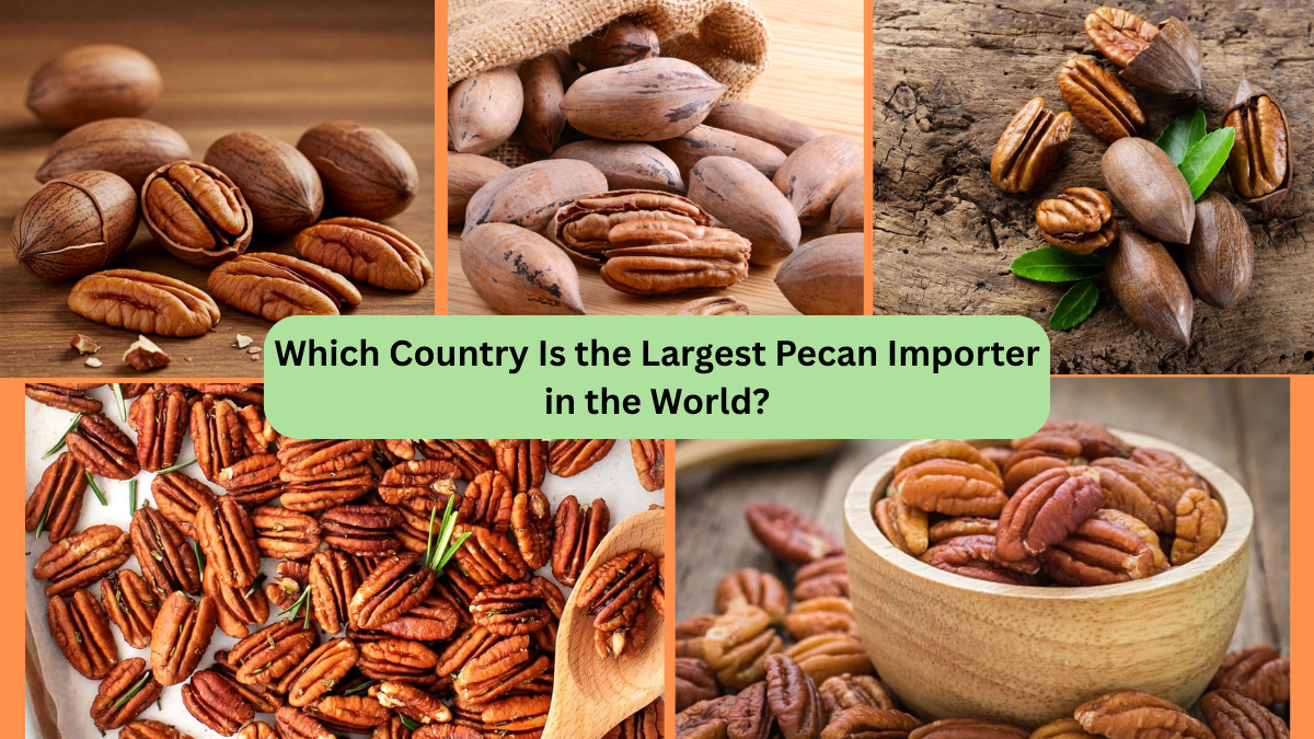 Which Country Is the Largest Pecan Importer in the World?