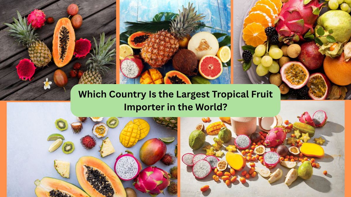 Which Country Is the Largest Tropical Fruit Importer in the World?
