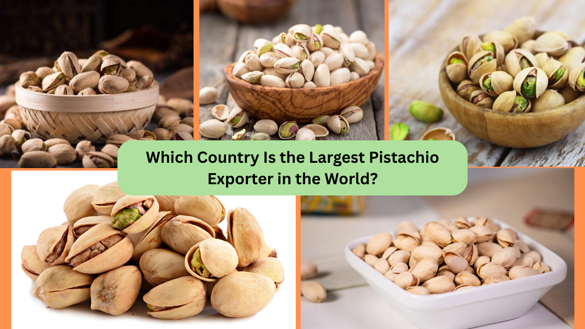 Which Country Is the Largest Pistachio Exporter in the World?