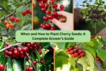 When and How to Plant Cherry Seeds: A Complete Grower’s Guide