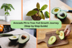 Avocado Pit to Tree: Full Growth Journey (Step-by-Step Guide)