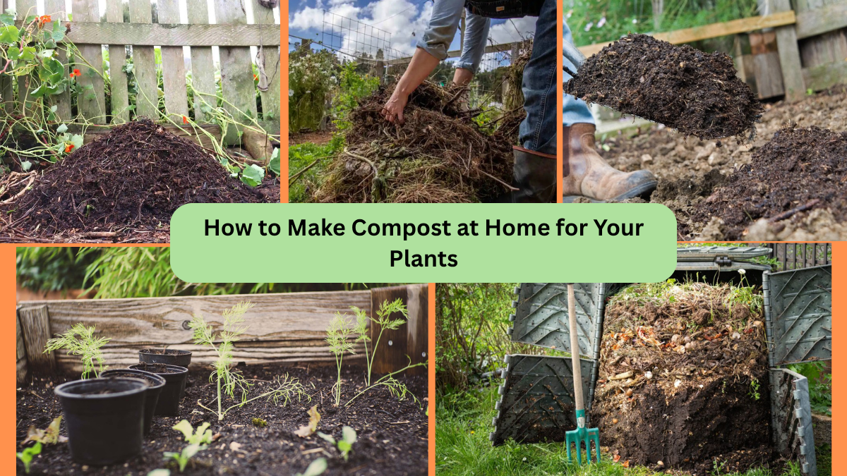 How to Make Compost at Home for Your Plants