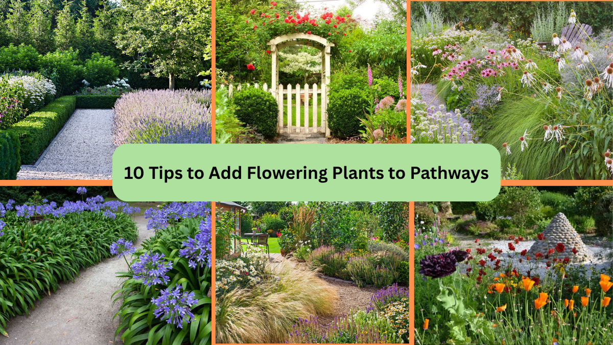 10 Tips to Add Flowering Plants to Pathways