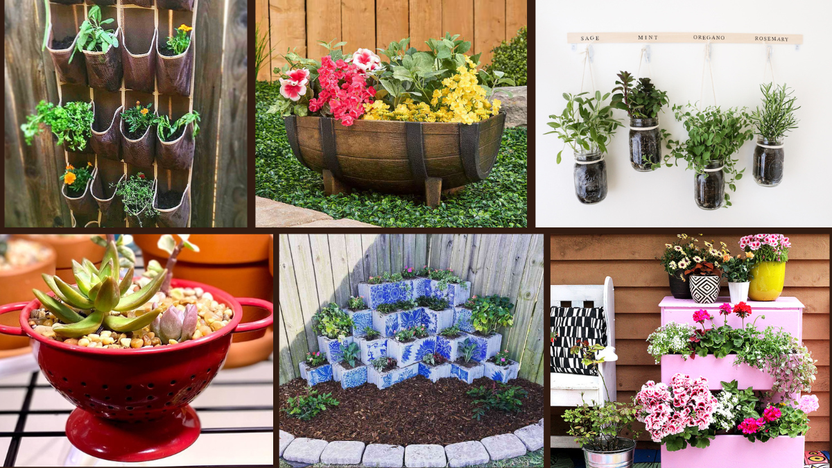 7 Unique Planter Ideas to Refresh Your Garden and Home