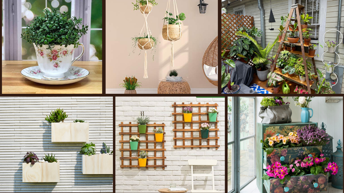 8 Clever Plant Planter Ideas to Display Your Greenery
