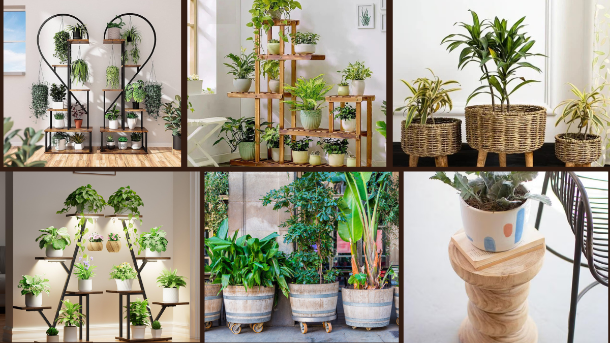 8 Smart Plant Stand Ideas for Indoors and Outdoors