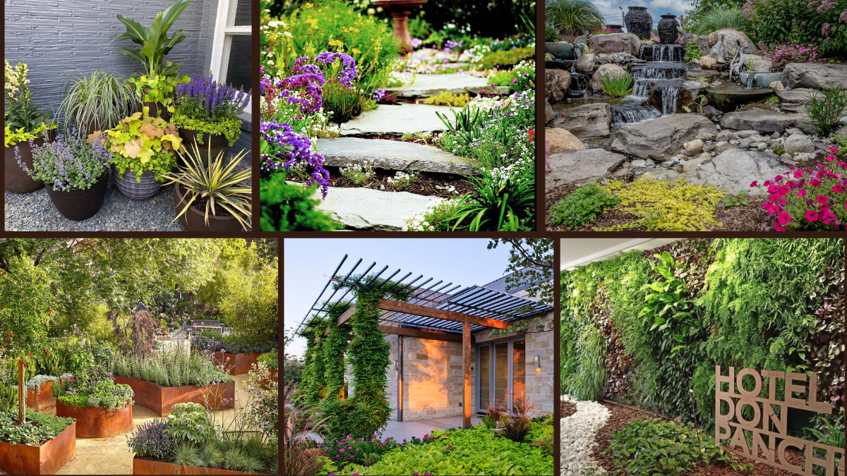 8 Backyard Ideas with Plants for a Lush Outdoor Escape