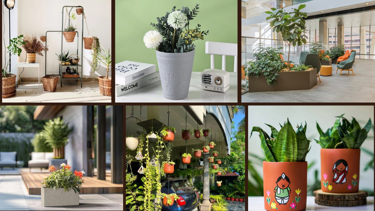 8 Plant Pot Ideas to Style Your Greenery Beautifully