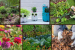7 Eco-Friendly Planting Ideas for a Greener Garden