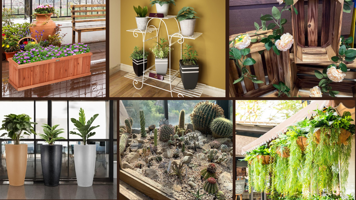 9 Front Porch Plant Ideas for Seasonal Displays