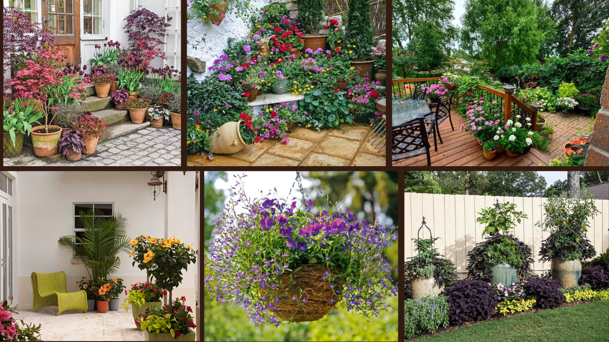 7 Container Planting Ideas for Every Garden Style