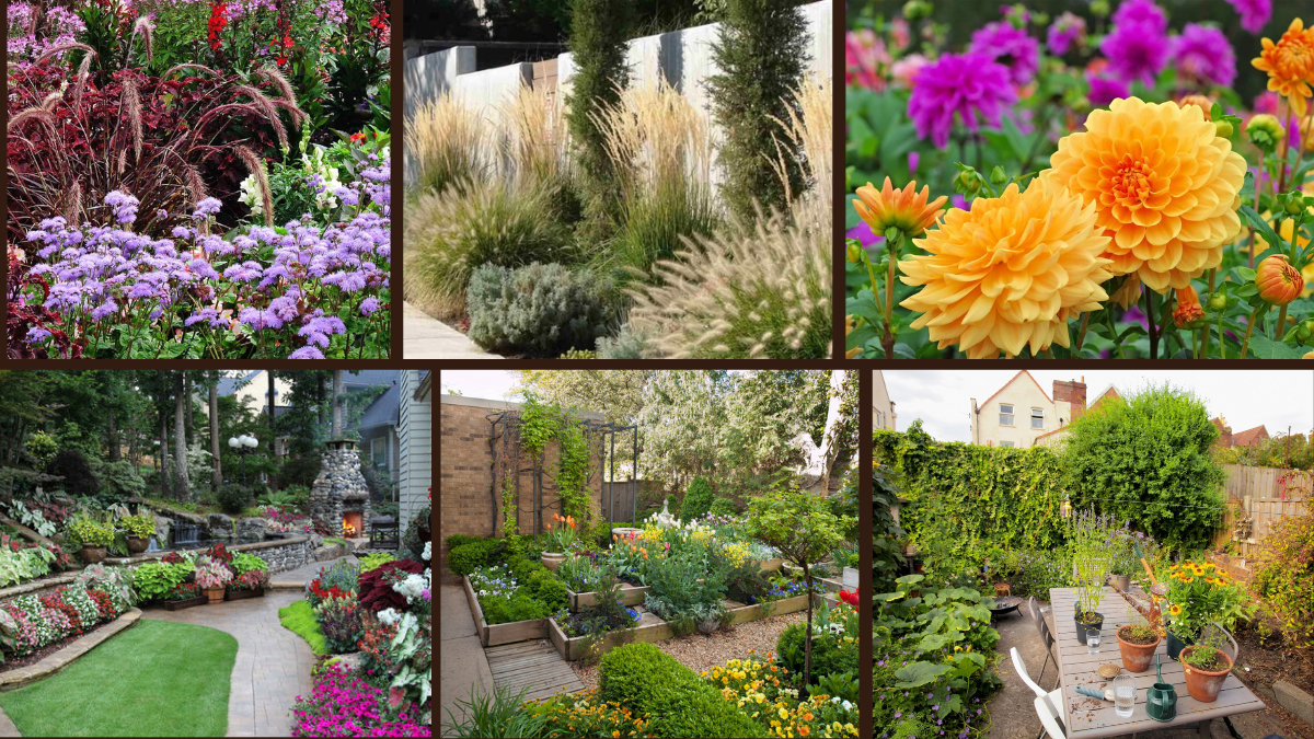 7 Foundation Planting Ideas to Frame Your Home Beautifully