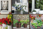 8 Front Porch Potted Plant Arrangement Ideas to Impress