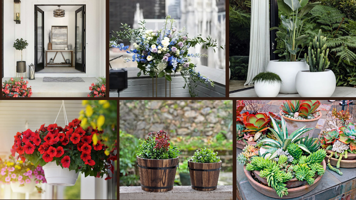 8 Front Porch Potted Plant Arrangement Ideas to Impress