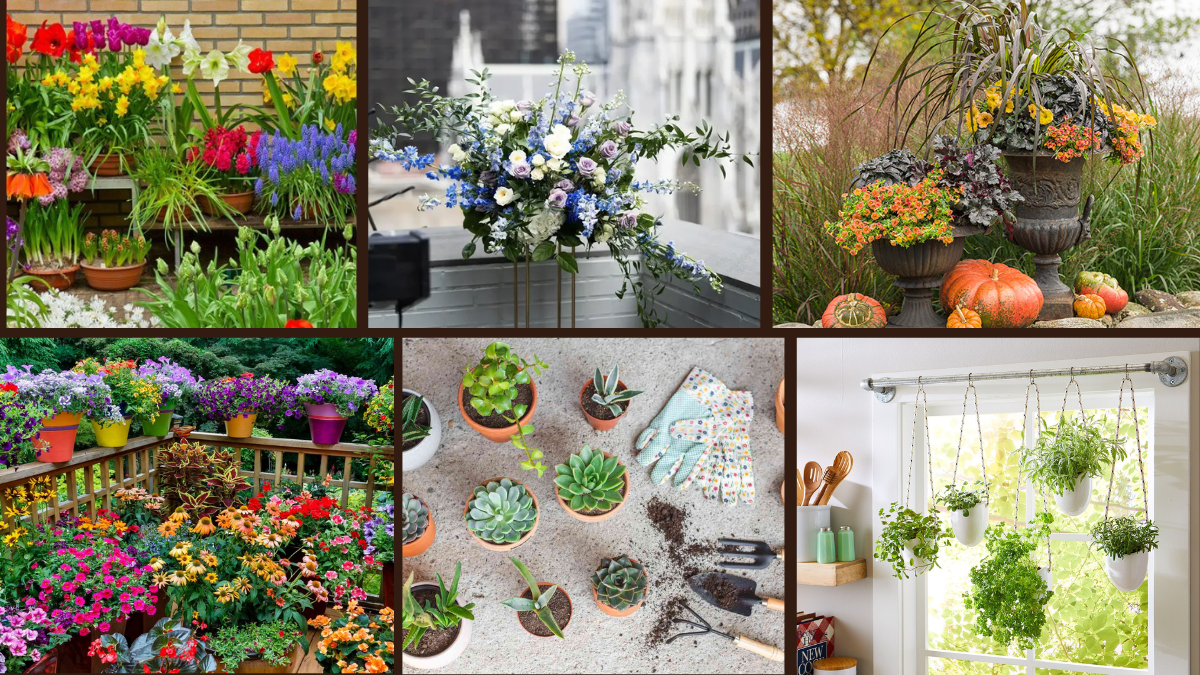 7 Garden Container Planting Ideas for Every Season