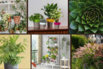 7 Design a Minimalist Room with Indoor Plants