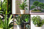 7 Create a Zen Space with These Indoor Plant Ideas