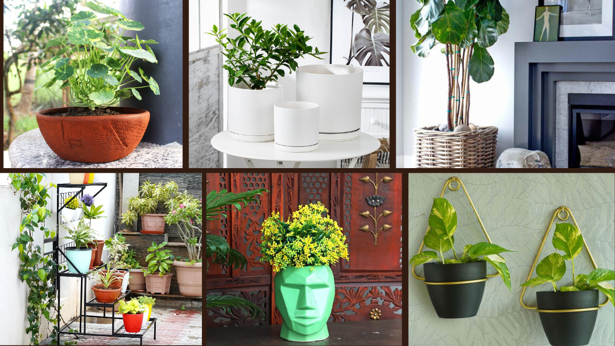 6 Trendy Planters to Elevate Your Plant Game