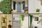 6 Using Vines and Climbers for Interior Design