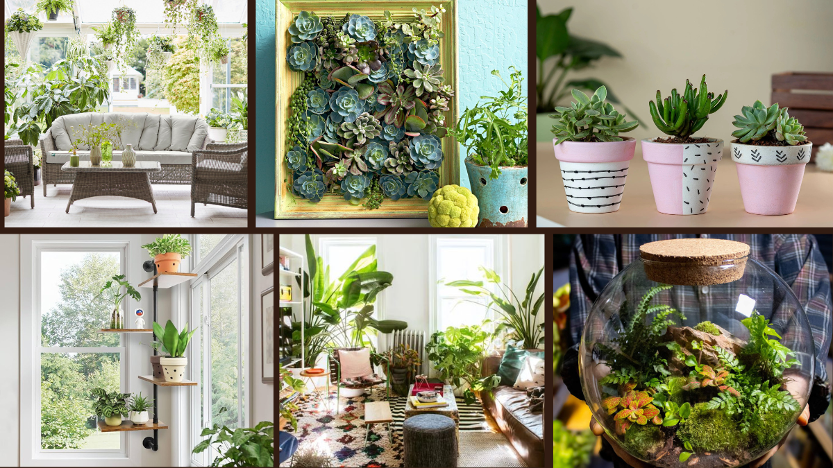 6 Combine Art and Nature with These Plant Ideas