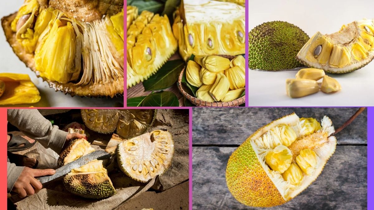 Which Country Is the Largest Jackfruit Producer Globally?