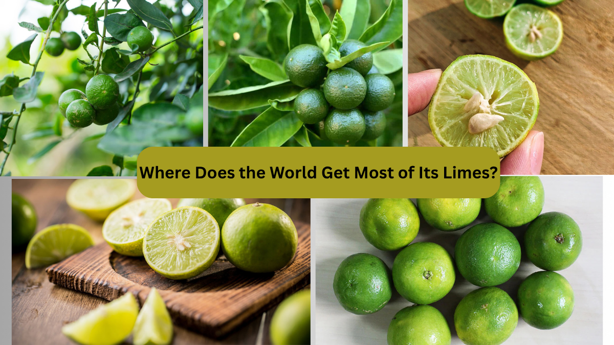Where Does the World Get Most of Its Limes?