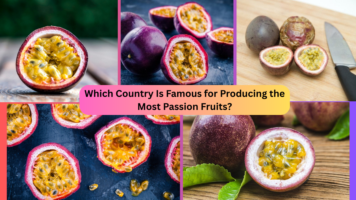Which Country Is Famous for Producing the Most Passion Fruits?